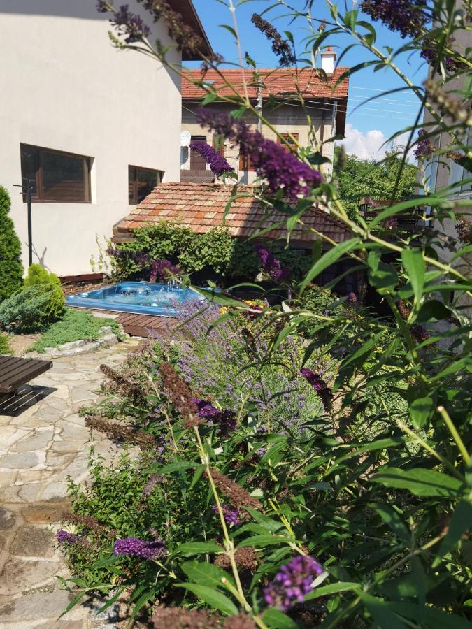 Mira Guest House Dobriniste Kültér fotó